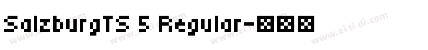SalzburgTS 5 Regular字体转换